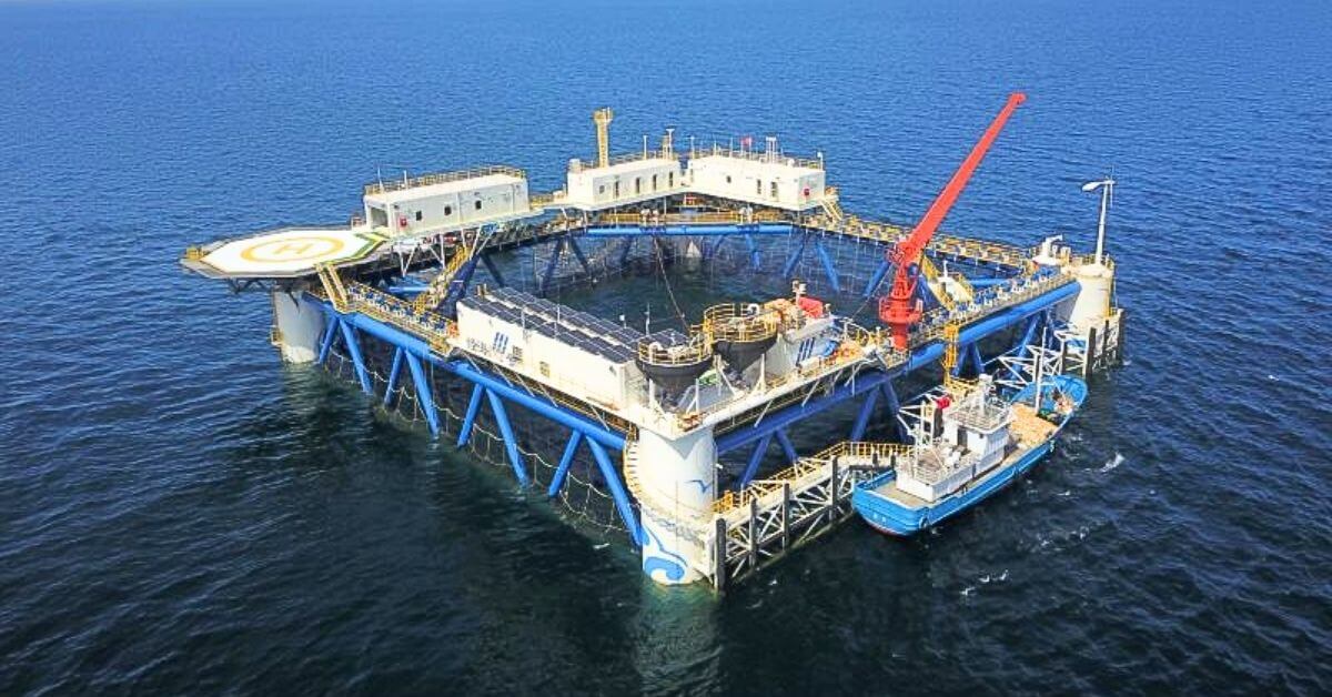 Offshore solar platform made of bamboo